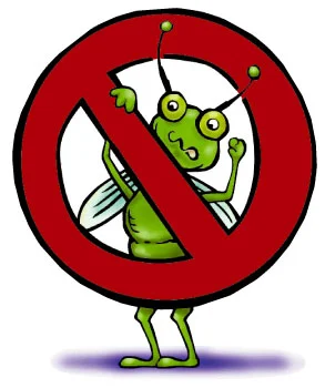 say no to termites